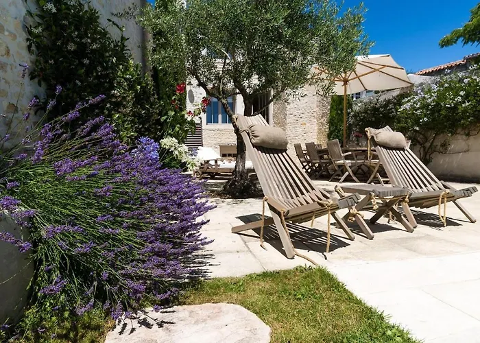 ヴィラ Petit Sergent With Pool, Cinema